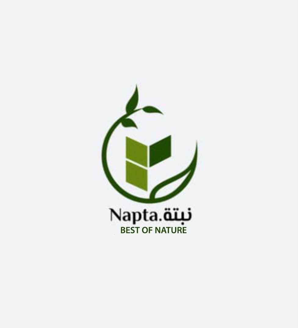 Napta